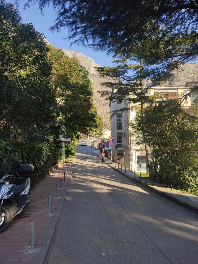 Apartment Oaza Kotor Kültér fotó